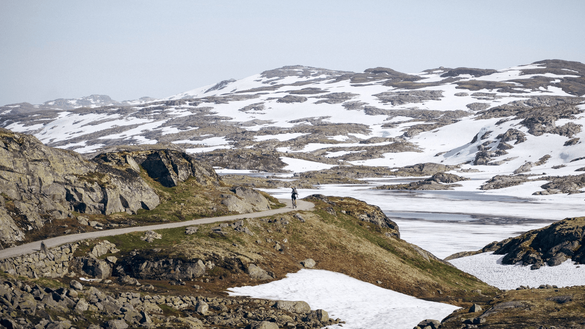 W drodze przez Śródziemie